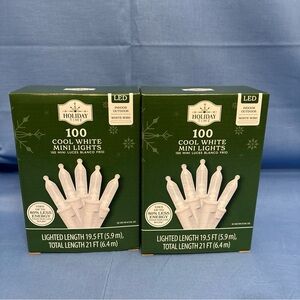 Holiday Time Cool White Mini Lights